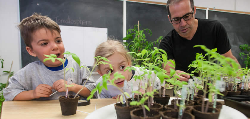 Kids and teacher with tomato plants